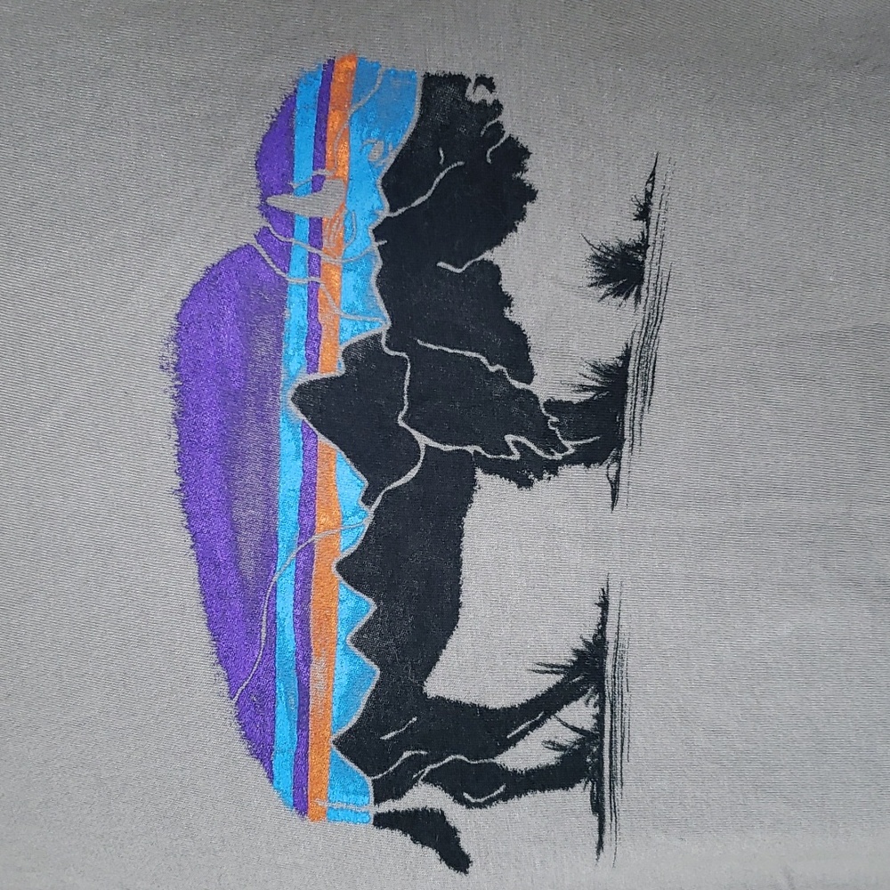 Patagonia FITZ ROY BISON Crew T-Shirt Sz S - Picture 3 of 7